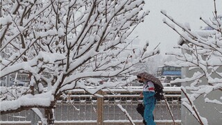 【Shen Yue】Spring will come back after this snow