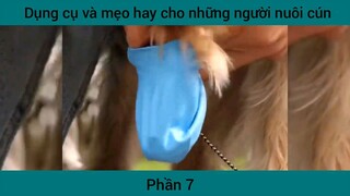 Dụng cụ và mẹo hay cho những người nuôi cún #7