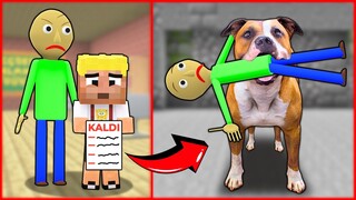 EFEKAN SINIFTA KALDI, KÖPEĞİ BALDİYİ ISIRDI! 😱 - Minecraft