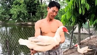 Biển Nguyễn ngọc || THịt Ngan Xào Sả Ớt.Mèo Xào Rau Má Rất Ngon