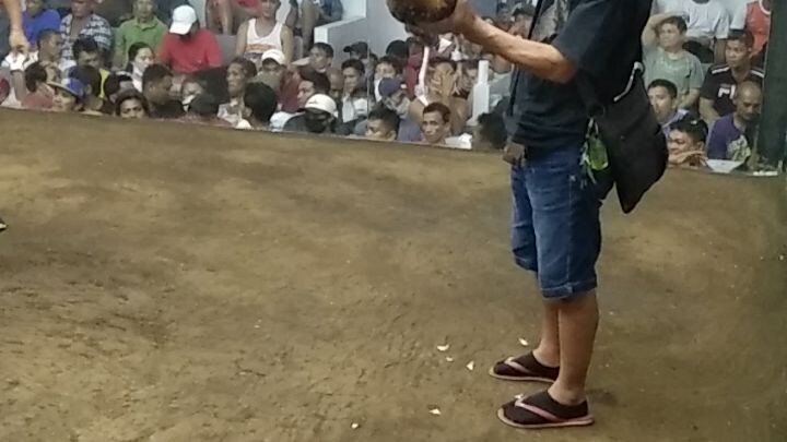 silang coliseum bulik lang sakalam