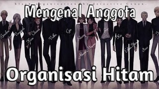 Mengenal Anggota Organisasi Hitam bagian 1|detektif Conan update