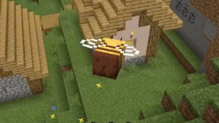 Creatures play hide-and-seek, and the one who gets caught is gay!