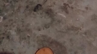 mawmouse