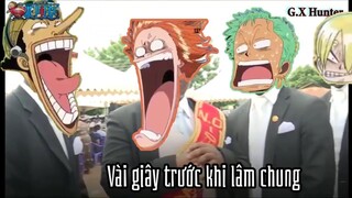 Chỉ là muốn giúp đi cho nhanh thôi mà... Luffy toang với băng mũ rơm.
