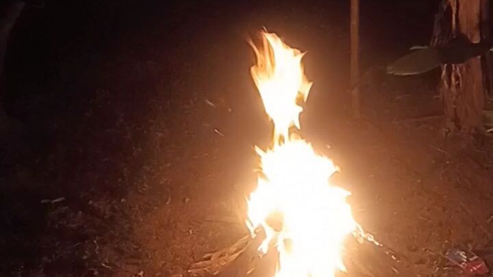 bonfire