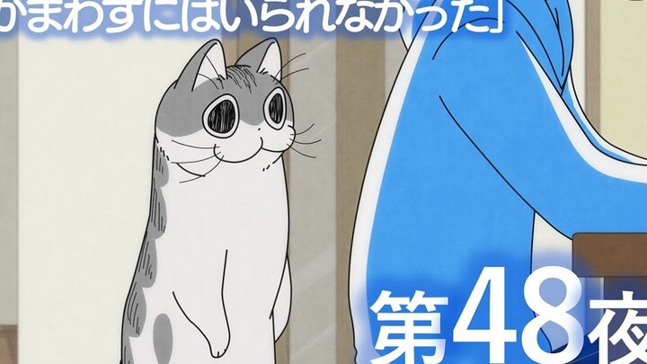 每晚和丘丘在一起48 忍不住和猫猫玩