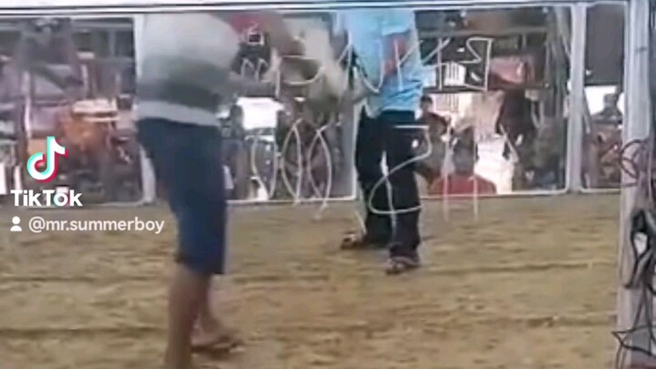 fastest kill si parawan ko