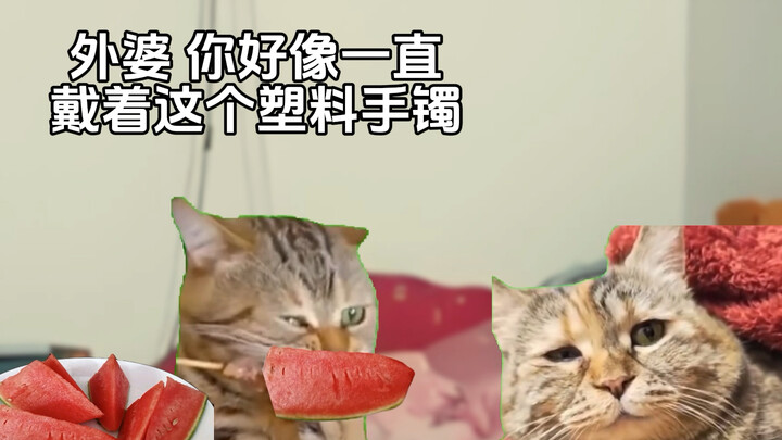 ช่วงเวลาไหนที่ทำให้คุณรู้สึกว่าเวลาผ่านไปไวเหมือนลมพัด? #เรื่องราวจากอินเทอร์เน็ต #โรงละครมีมแมว #ย้