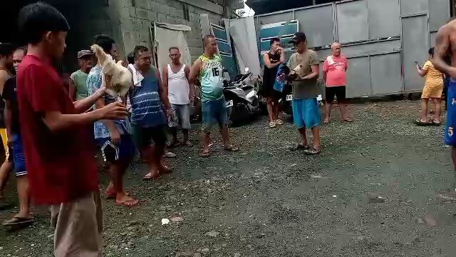 papatay na kalaban na last card pa 😂 talo..