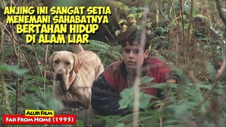 Selalu Menemani Sahabatnya Ketika Susah Maupun Senang | Alur Cerita Film FAR FROM HOME (1995)