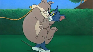 Lần này thì không chạy thoát được nữa rồi