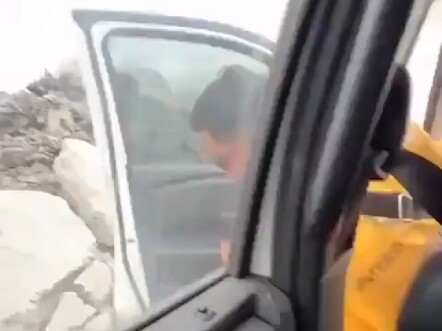 Khoảnh khắc nguy hiểm khi chọc tổ ong