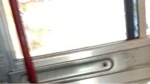 Video from my other TikTok acc