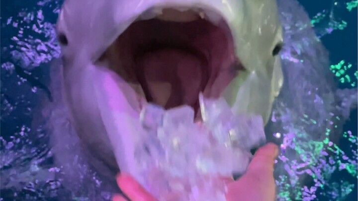 补充淡水的时间到啦😊