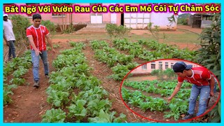 Hùng Kaka ll Bất Ngờ Với Vườn Rau Mà Các Em Mồ Côi Tự Mình Chăm Sóc