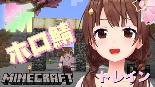 【minecraft】そらトレイン新サーバー準備！！【#ときのそら生放送 /ホロライブ】