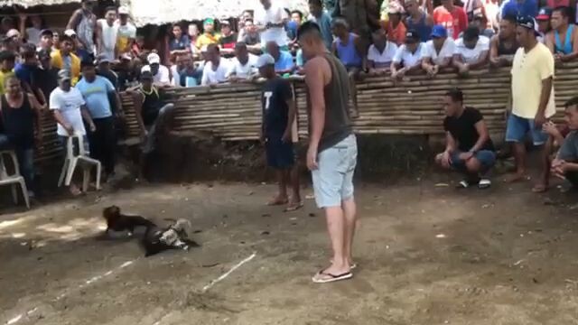 first fight win 3times win