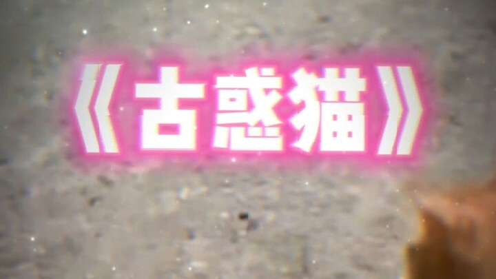 Ancient Confused Cat