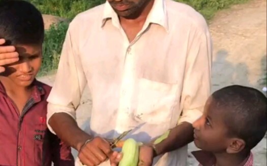 坐火车路过一个村子。下车买个黄瓜吃。