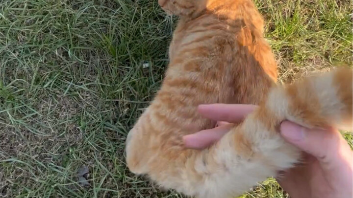 Bạn được sờ, nhưng đừng sờ lung tung nhé～