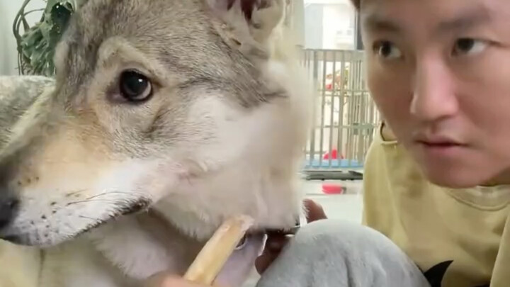 This vlogger is so cute—I’m totally following them! (The lady boss, heya!)