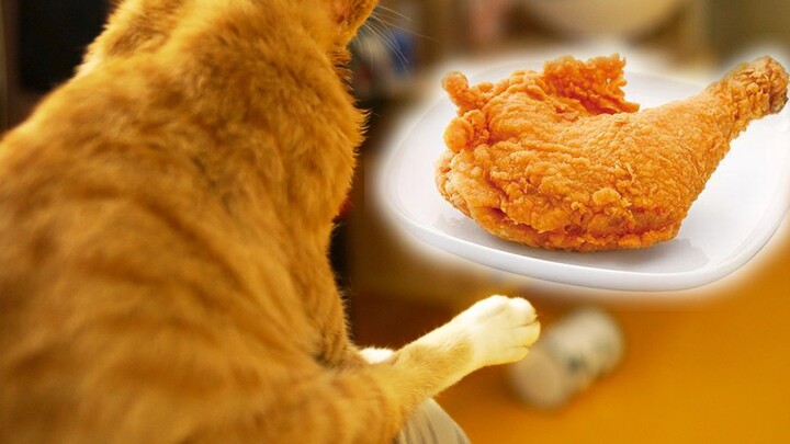 หรือว่าฉันช่วยขาไก่ใหญ่ไว้?!