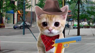 الهوية المزدوجة للدمية المفقودة