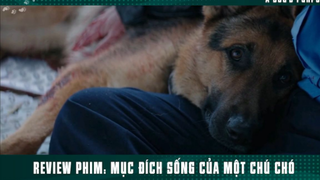 [Review Phim]Chú Chó Trung Thành Làm Mai Mối Giúp Ông Chủ Có Vợ p7
