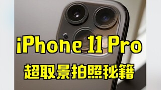Vlog mini Ozawa: Foto dengan jangkauan ekstra dari seri iPhone 11 membantu Anda mendapatkan kembali 