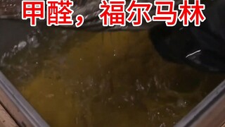 Formalin dibuat dari formaldehida