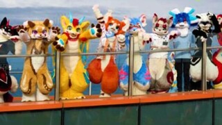 【Fursuitdance】 Ngạc nhiên! ! ! Hơn chục Mao Mao thật sự cùng nhau làm loại chuyện này! Vũ điệu cuồng