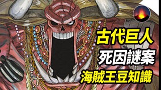 海贼王豆知识：魔人奥兹考古案原型 奥兹之死可能并非寒冷 古代巨人族战斗立场 运国行为另有目的 被路飞带跑偏的古代巨人 大将青雉上任冷冷果实能力者 帝钦点肥猫头子