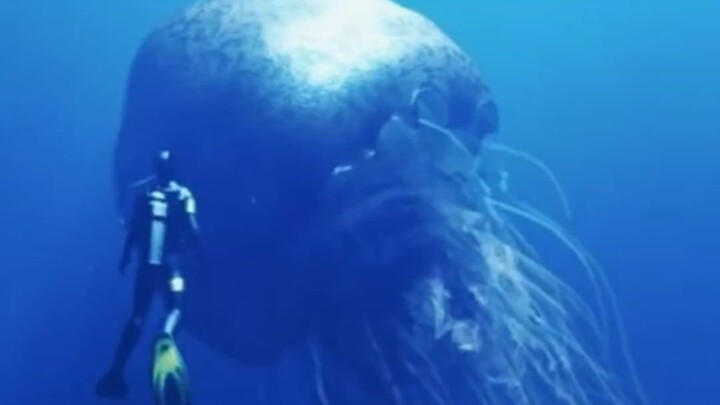 Embrace the fear of the deep sea
