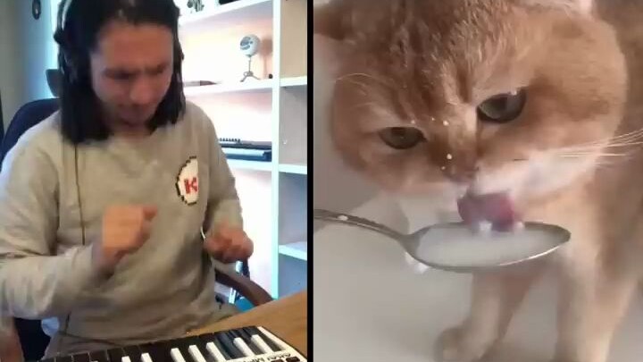This world is crazy— even the kitties are getting fiercely competitive, all vying to be the lead sin