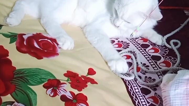 #my frist video