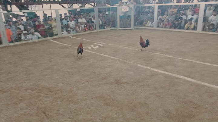 2x winner @tubao launion