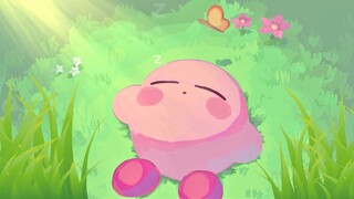 Kirby sleeping