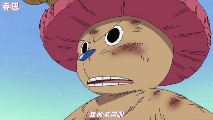 【海贼王高燃混剪】路飞海贼团全员自我介绍