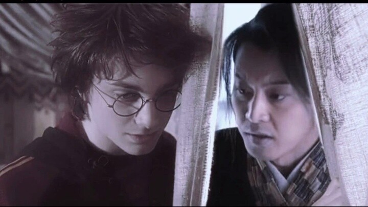 You Don't Understand the Joy of Harry Potter Fans - HP Stalk Picture #12