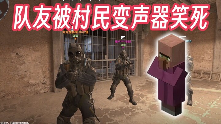 When I Prank My Teammates with a Villager Voice Changer