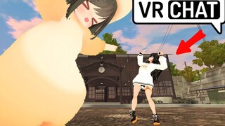 أفهم كل ما تقوله منطقًا، لكن لماذا الجرذان الذهبية كبيرة جدًا هكذا؟