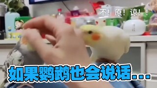 绿茶vs傲娇④