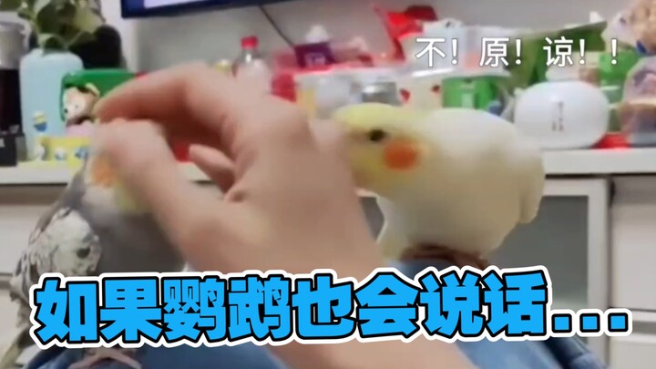 绿茶vs傲娇④