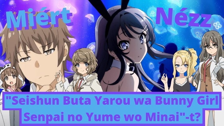 Miért nézz "Seishun Buta Yarou wa Bunny Girl Senpai no Yume wo Minai"-t?