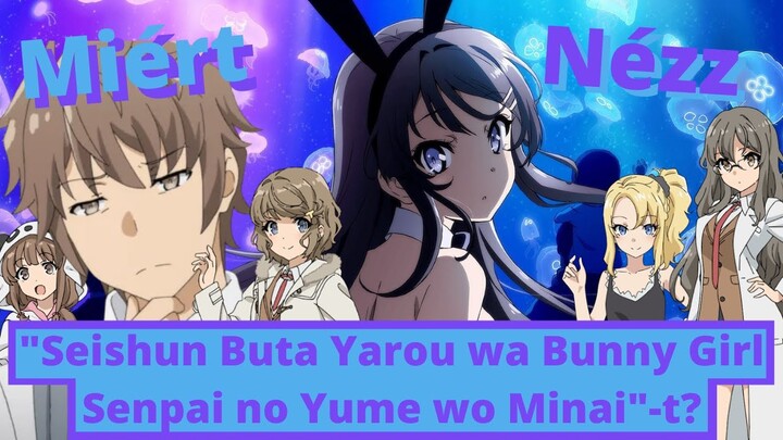 ⚠️2 TEMPORADA de SEISHUN BUTA YAROU WA BUNNY GIRL SENPAI NO YUME WO MINAI  ?¿CUANDO SE ESTRENA?⚠️ - Bstation