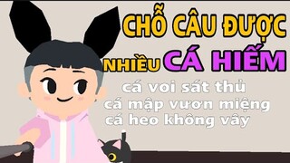 Chỗ Câu Được CÁ HIẾM Nhiều Nhất trong PLAY TOGETHER | CÁ VOI SÁT THỦ, CÁ MẬP, CÁ HEO,...