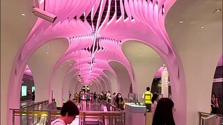 疯狂的上海地铁 惊呆老外