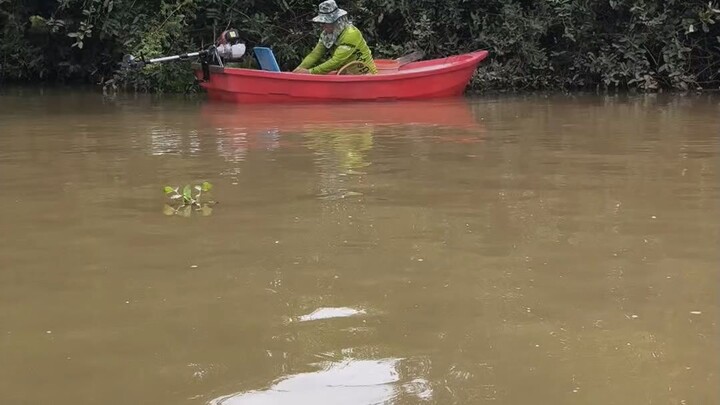 ตัวสวยๆทั้งนั้น #ตกปลากด #fishing #เหยื่อยัยตอง #ตกปลา #ทำมาหากิน #ปลากด