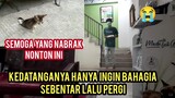 Astagfirullah Sedih Banget Anak Kucing Lumpuh Yang Berjalan Ngesot Gak Bisa Bertahan Di Klinik..!